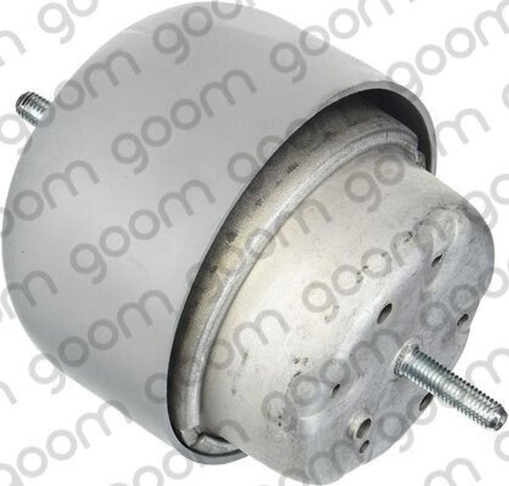 GOOM Motorlager Hydrolager Rechts für VW PASSAT Variant (3B6) EM-0114