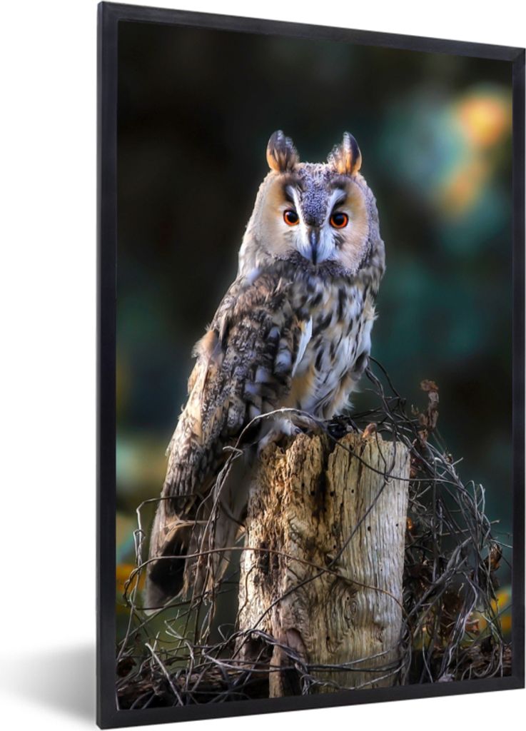 MuchoWow Gerahmtes Poster Eule - Herbst - Vogel - Äste 20x30 cm - Poster mit Schwarzem Bilderrahmen Wandposter Rahmen Foto Bilder - Drucken - Bi...