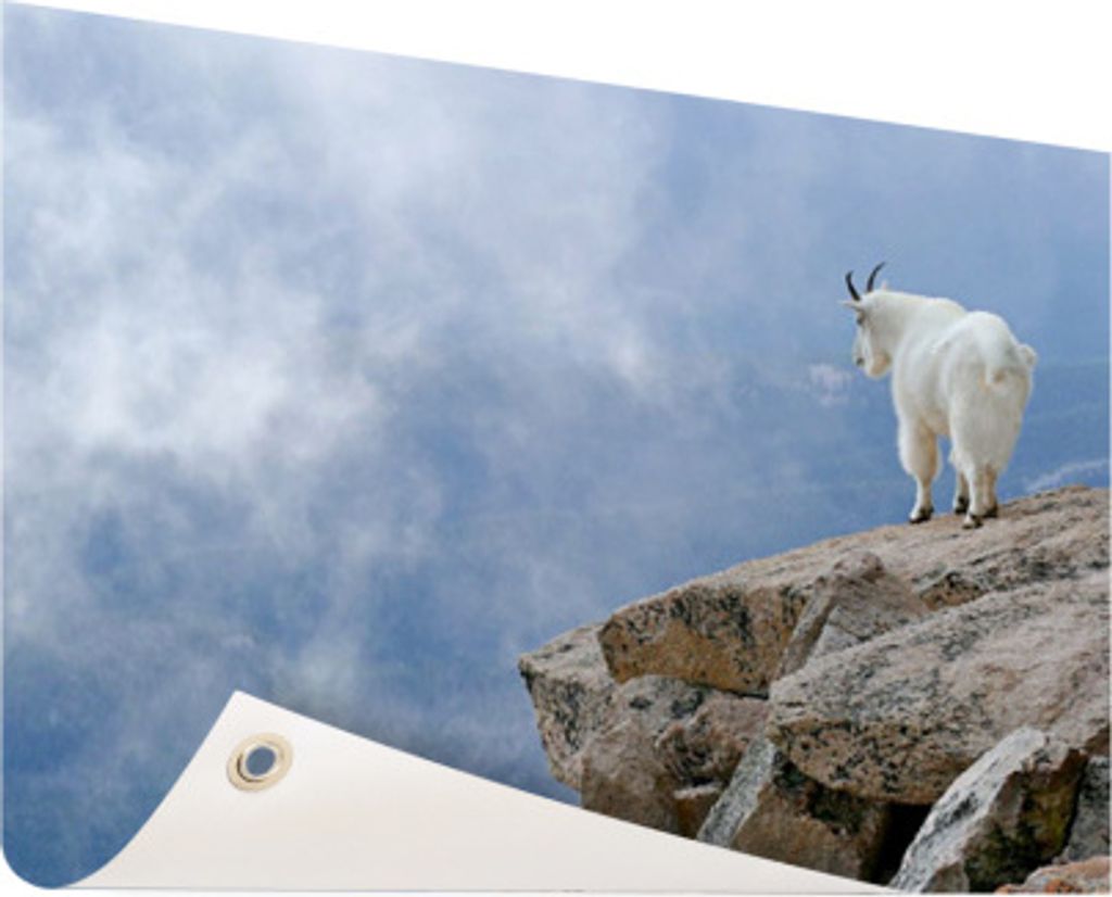 Gartenposter - 120x80 cm - Bergziege an einer Klippe Fotodruck - Modernes Wandbilder - NutzTierposter
