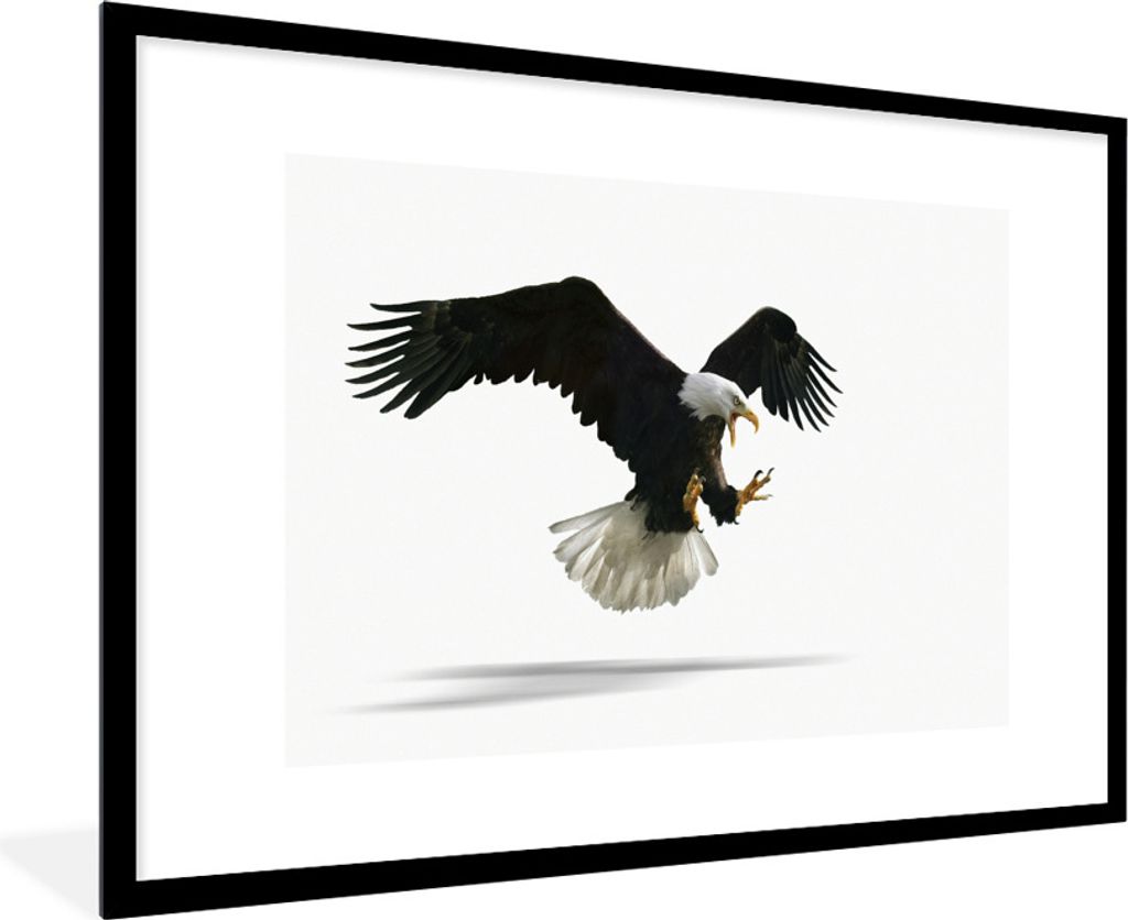 MuchoWow Gerahmtes Poster Adler - Vogel - Weiß 90x60 cm - Poster mit Schwarzem Bilderrahmen Wandposter Rahmen Foto Bilder - Wanddekoration - Fotos