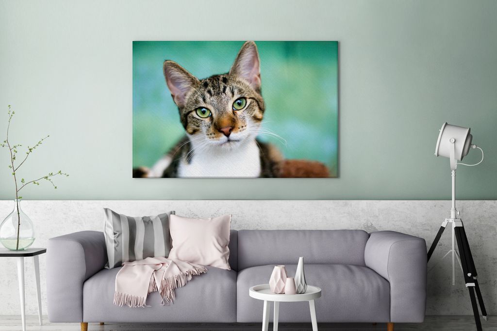 OneMillionCanvasses - Leinwandbilder - 140x90 cm, Katze - Porträt - Augen, Wandbilder Kunstdruck Wanddekoration