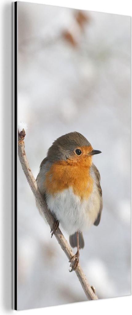 MuchoWow Wanddekoration Metall Metallbild Wandkunst 20x40 cm Vogel - Rotkehlchen - Winter MuchoWow Aluminium Gemälde - Aluminium Gemäldes