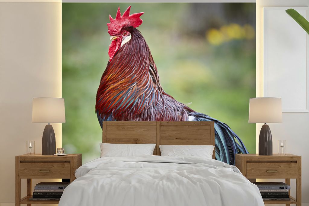 MuchoWow Fototapete für Wohnzimmer oder Schlafzimmer Wandtapete Vinyl Motivtapete Hahn Fotodruck - 240x240 cm - Schlafzimmer-Tapete