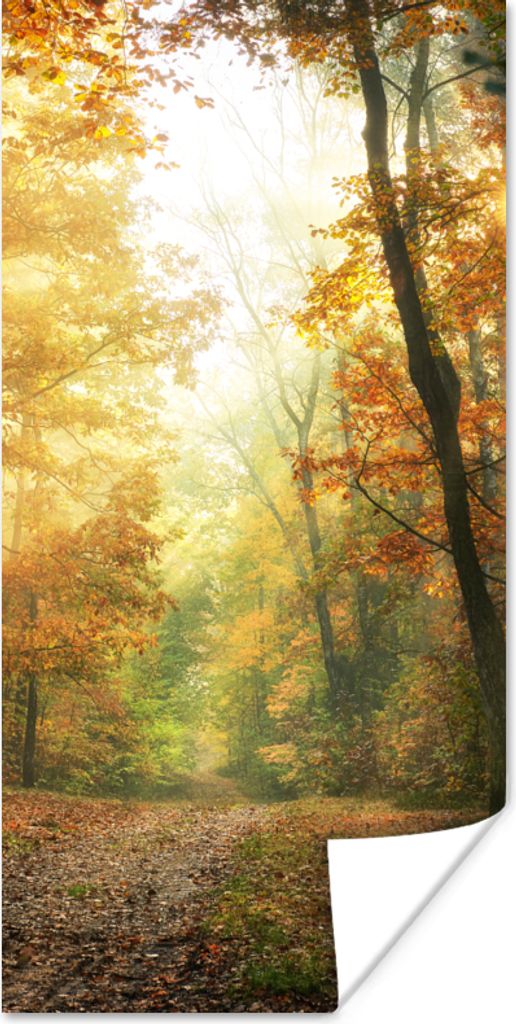 MuchoWow Poster Wald - Herbst - Sonne - Landschaft - Natur - Bäume - Laub 40x80 cm - Dekoration