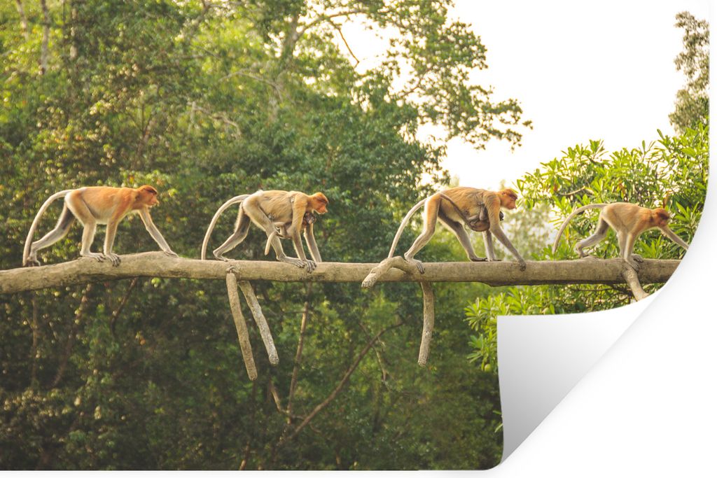 MuchoWow - Wierderverwendbar - Selbstklebend