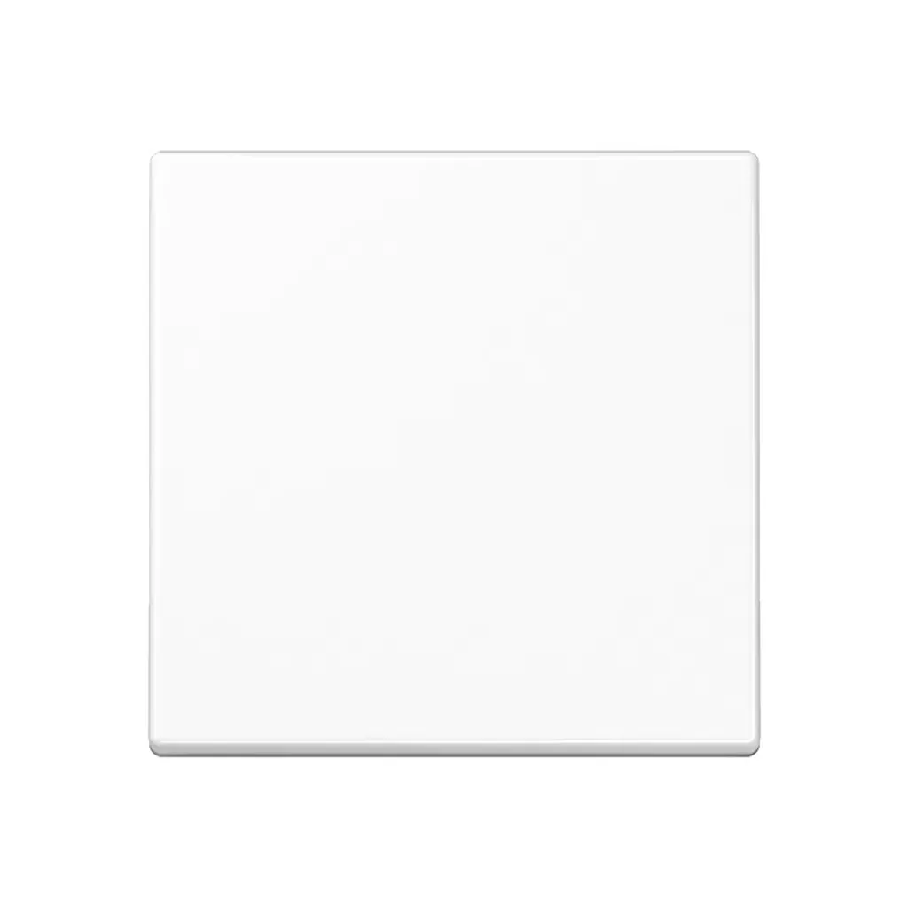Touche JUNG A1700BFWW Blanc Alpin Haute Résistance Gamme Standard