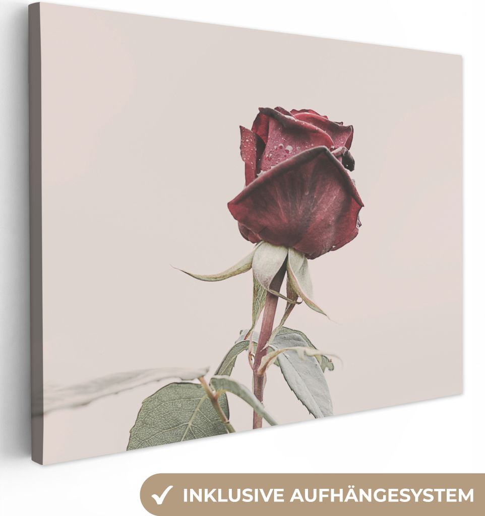 MuchoWow - Leinwandbilder - Blumen - Rot - Rosen - Grün, Wandbild, Wanddeko Bilder Wohnzimmer, 80x60 cm