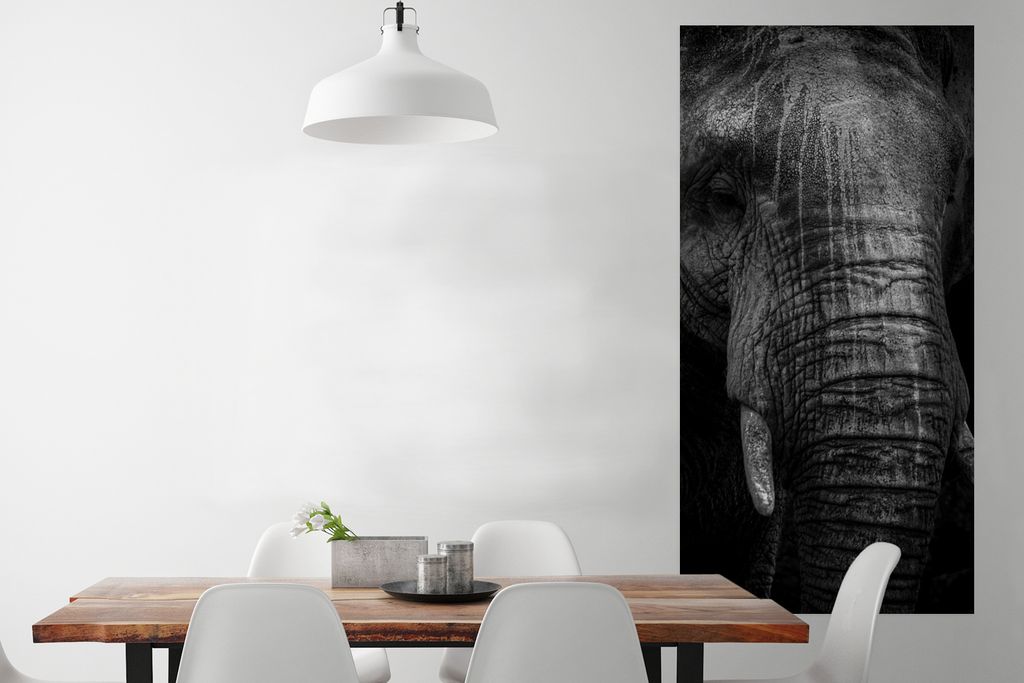 Poster Elefant auf schwarzem Hintergrund in schwarz und weiß 75x150 cm