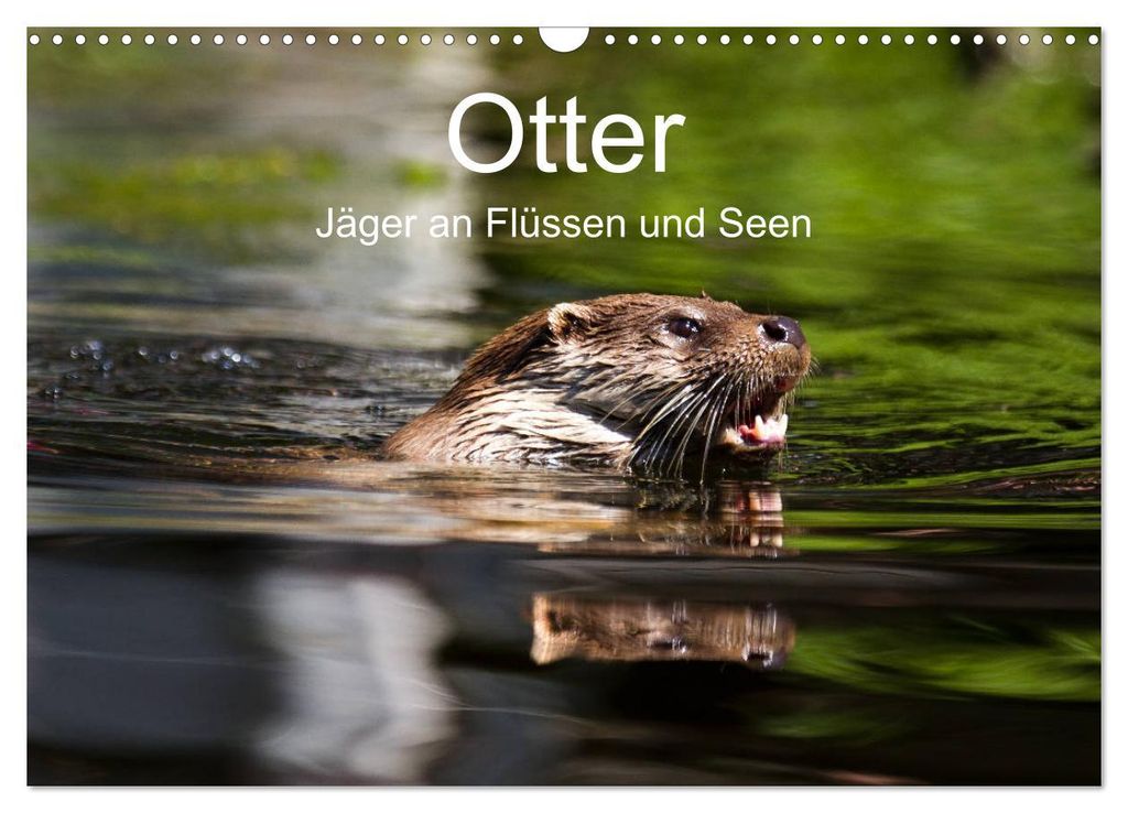 Otter - Jäger an Flüssen und Seen (Wandkalender 2027 DIN A3 quer), CALVENDO Monatskalender