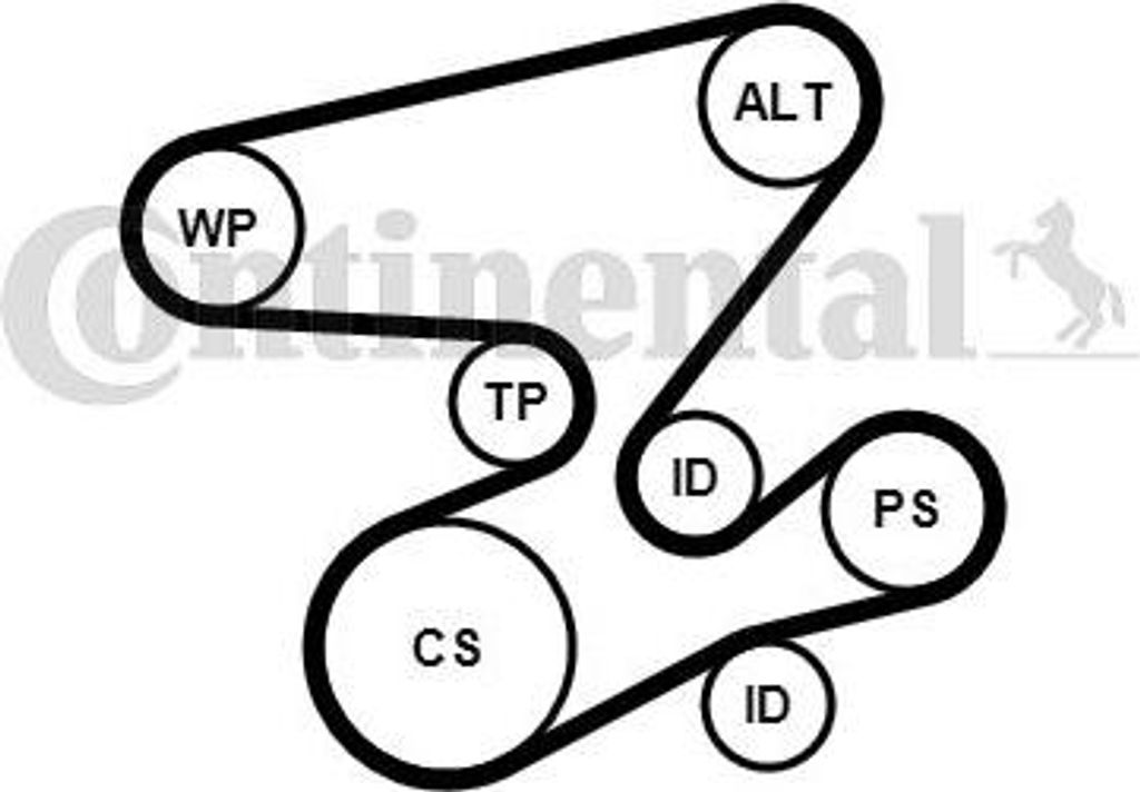 CONTINENTAL CTAM 6PK2080K1 Keilrippenriemensatz OE kompatibel mit X5, X3, 7er E65, 6er E64, 6er E63, 5er E61, 5er E60, 3er E46