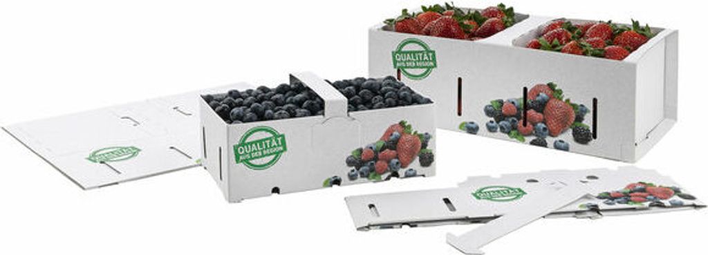 25x Obstkörbe Beerenkörbe aus Pappe 350x159x118mm mit Neutraldruck für 2,0-2,5 KG