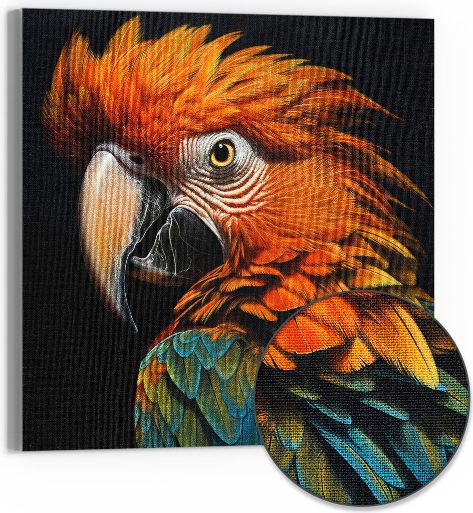 DEQORI Hybrid Leinwand Bild 50x50 cm 'Prachtvogel Portrait' Wandbild Glas flach modern