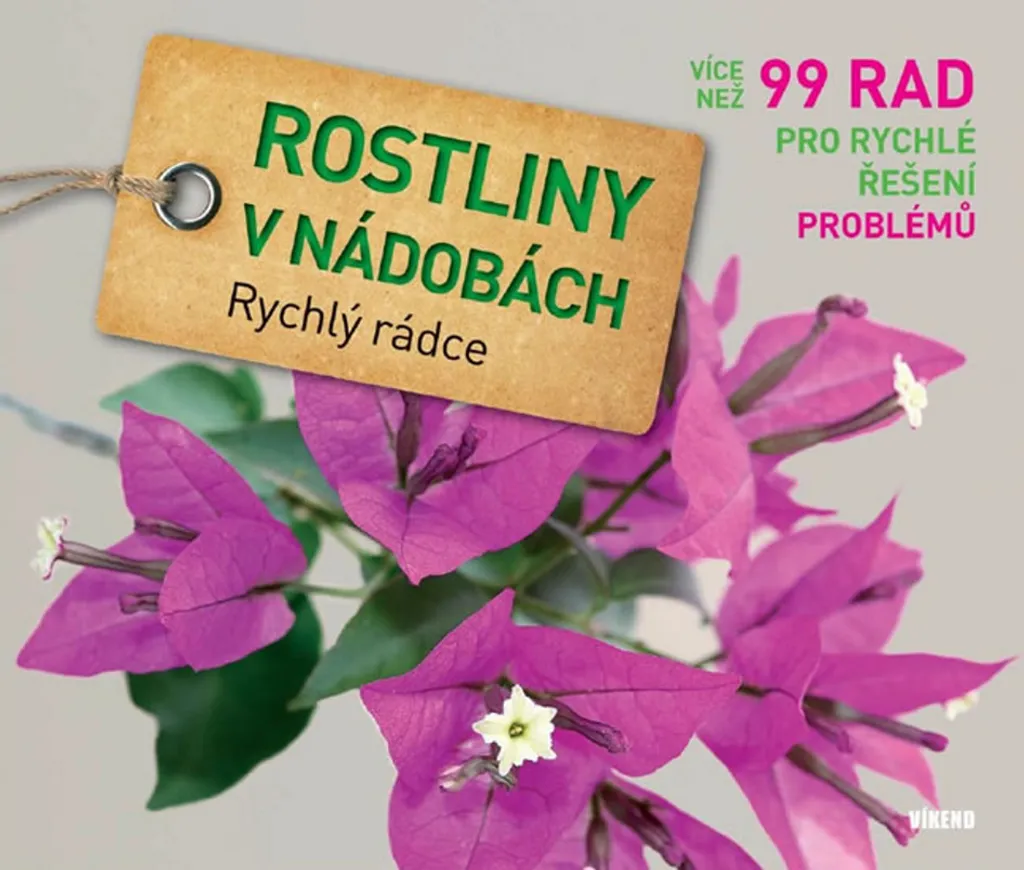 Aménager son balcon avec Plantes en pots : Le livre de Tanja Ratsch
