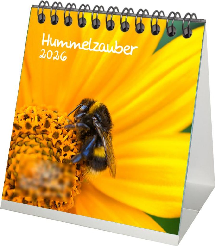 Hummelzauber Tischkalender 10cm x 10cm für 2026 Hummeln - Geschenkset Inhalt: 1x Kalender 1x Weihnachtsanhänger 1x Grußanhänger (gesamt 3 Teile)