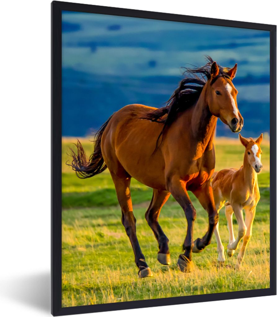 MuchoWow Gerahmtes Poster Pferde - Gras - Tiere - Landschaft - Natur 30x40 cm - Poster mit Schwarzem Bilderrahmen Wandposter Rahmen Foto Bilder -...