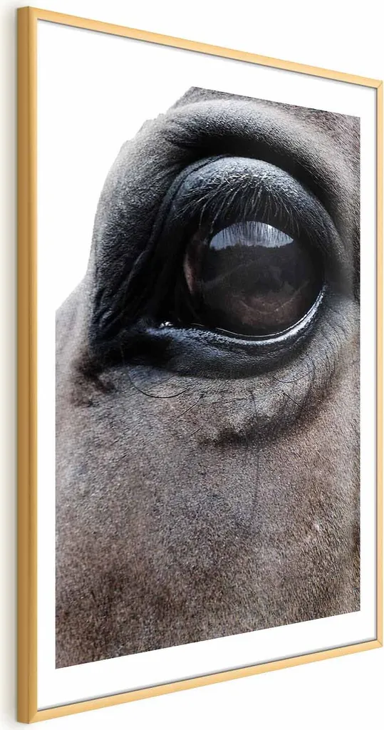 Poster Occhi onesti 60x90 cm con cornice dorata con margine