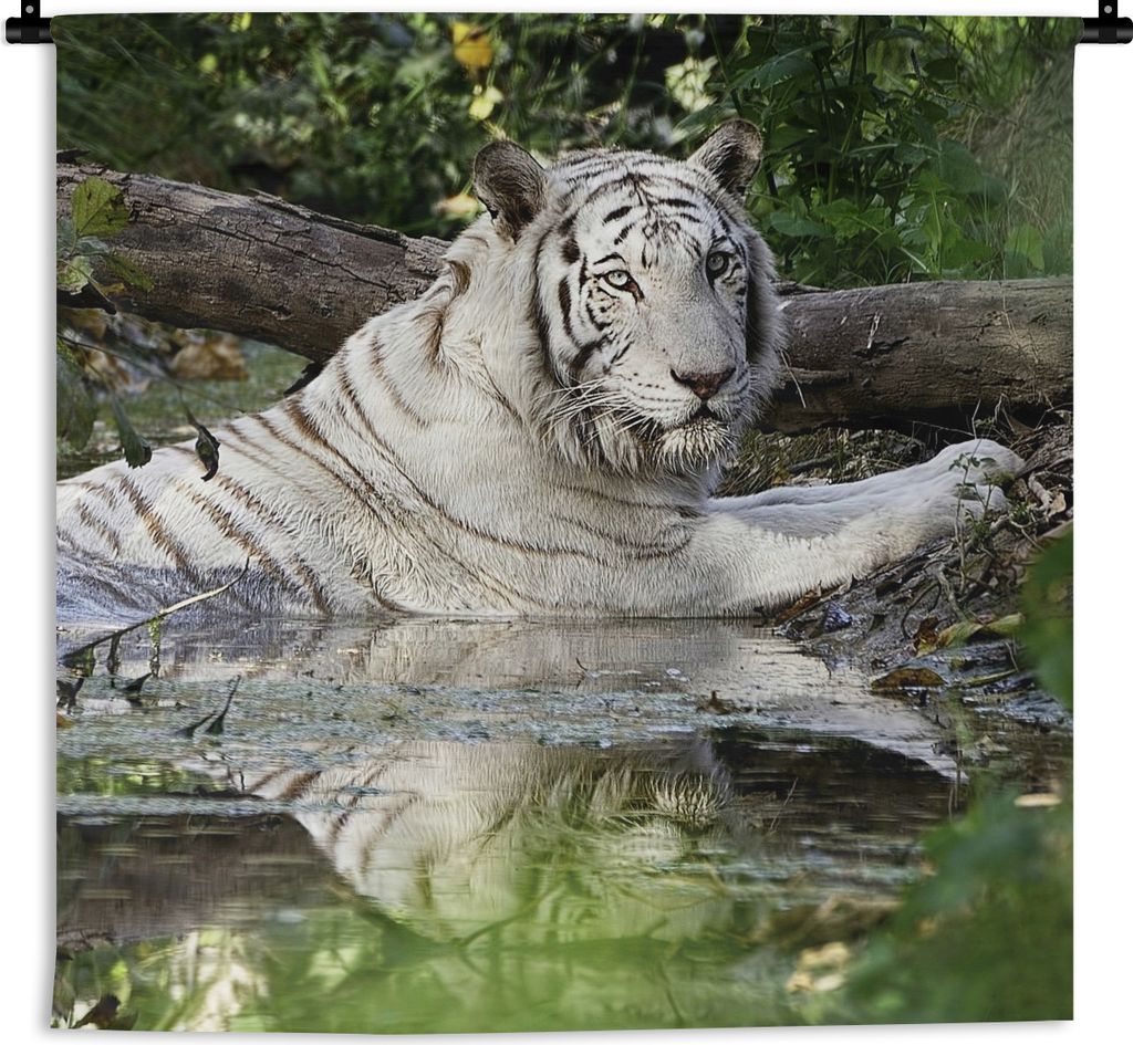 MuchoWow Wandteppich Wandbehang Weißer Tiger im Wasser 150x150 cm Tapisserie Dekoration Wandtuch - Wohnaccessoires - Modernes