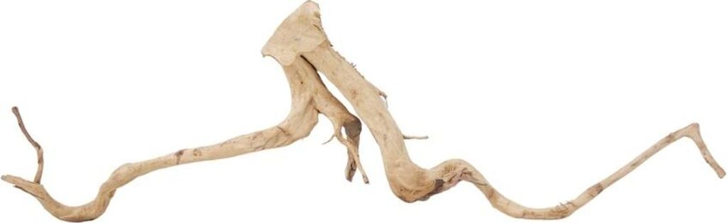 XXL Moorkienwurzel Nr.9834 Holz Deko Aquascaping