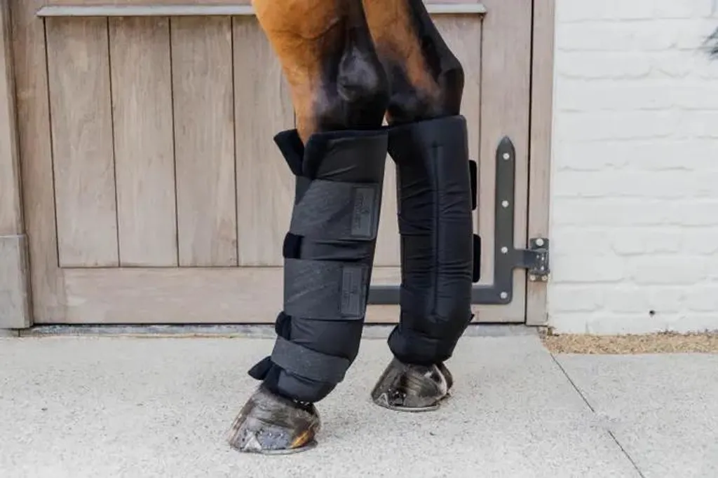 Kentucky Horsewear Stivali PROtect Classic Posteriori Nero M | Shop Online