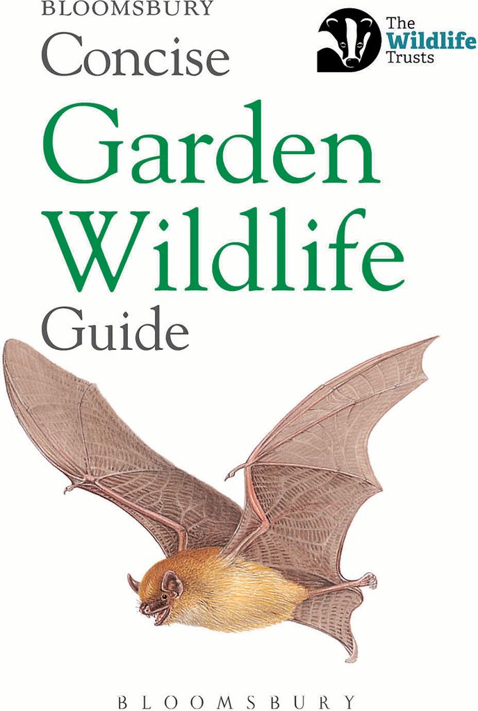Concise Garden Wildlife Guide