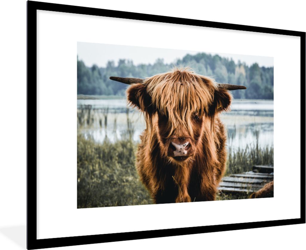 MuchoWow Gerahmtes Poster Kühe - Schottische Hochlandbewohner - Braun - Natur 90x60 cm - Poster mit Schwarzem Bilderrahmen Wandposter Rahmen Fot...
