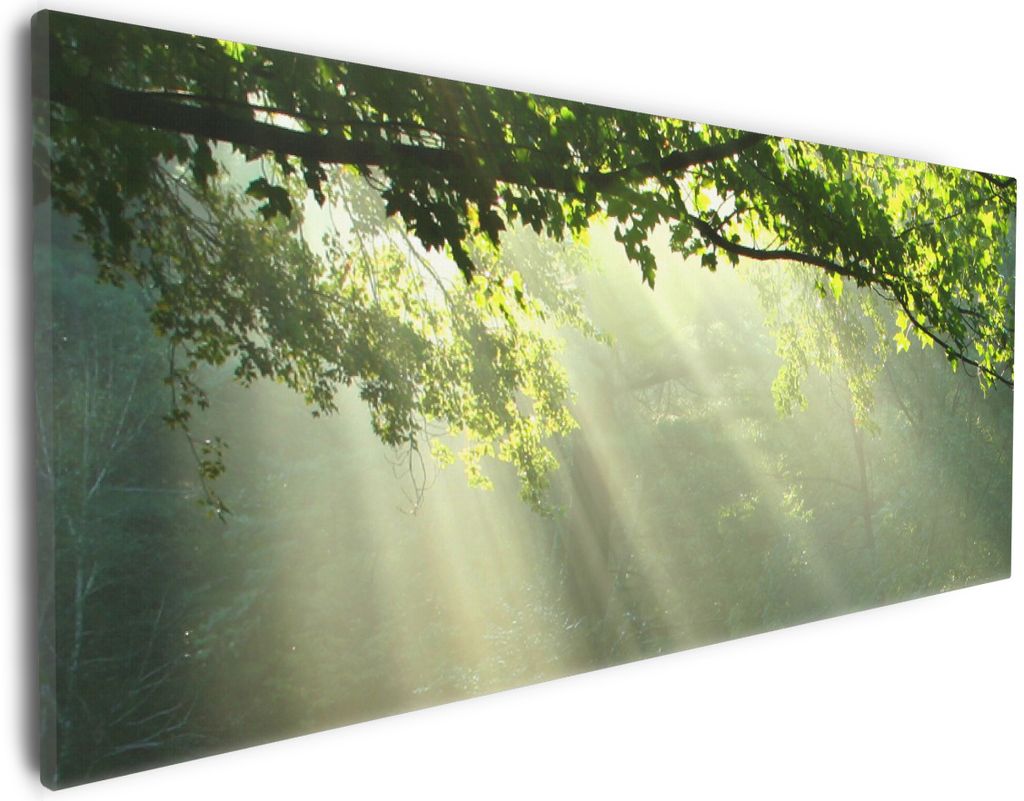 Wallario Premium Leinwandbild Sonnenstrahlen im Wald in Größe 30 x 75 cm