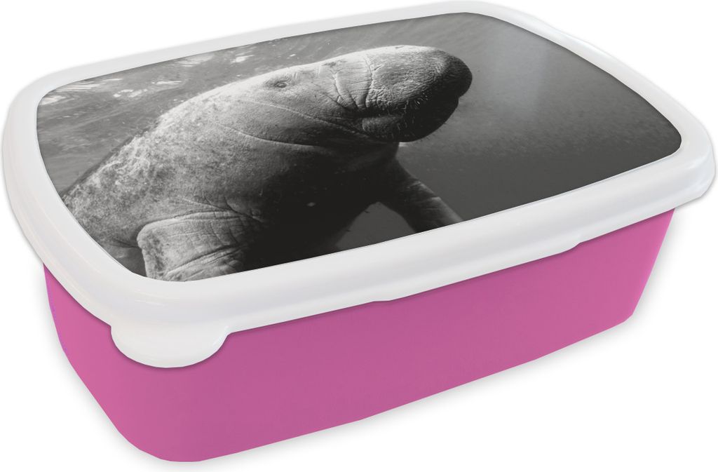 KitchenYeah Lunchbox Brotzeit Brotdose 17x11 cm Unterwasserfoto einer Seekuh - schwarz-weiß Kinder Brotzeitdose - Lunchpaket - Brotkasten - San...