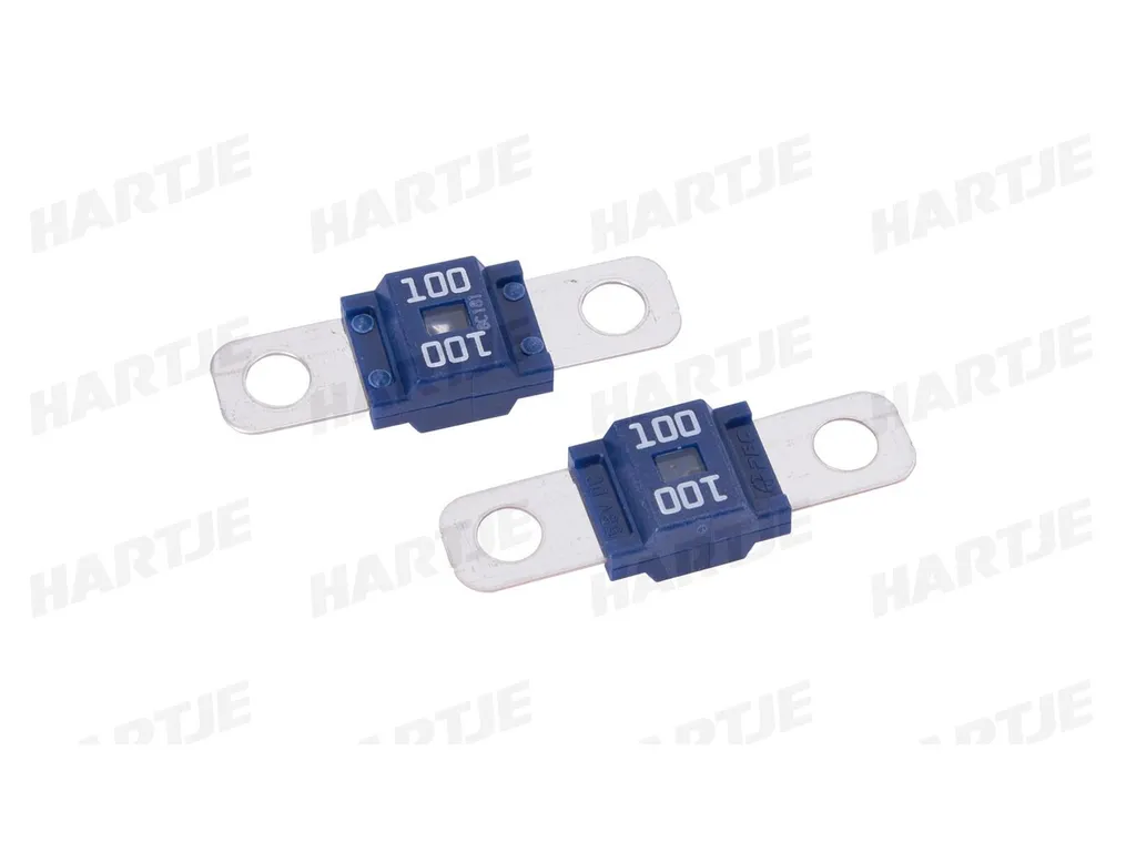 Fusible Midi 100A pour batterie et camping-car bleu à visser 100 Amp