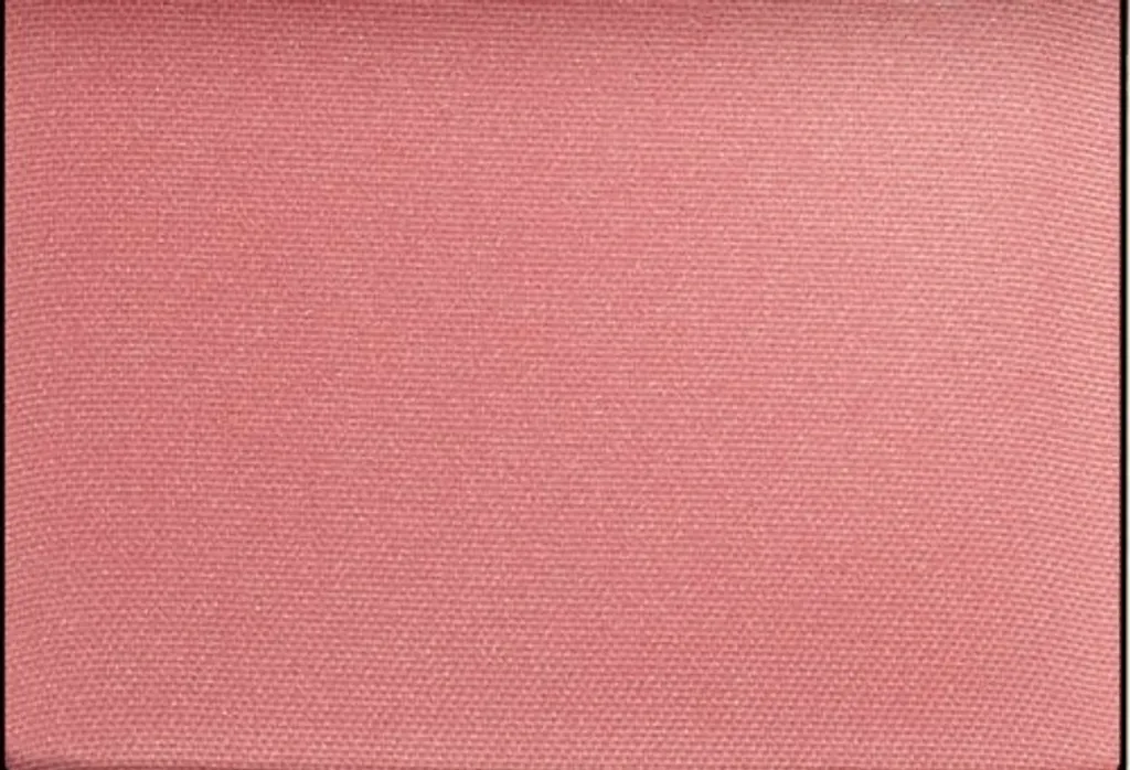 Blush Teint Éclatant Pure Color Envy 220 Pink Kiss 7g Maquillage Jour