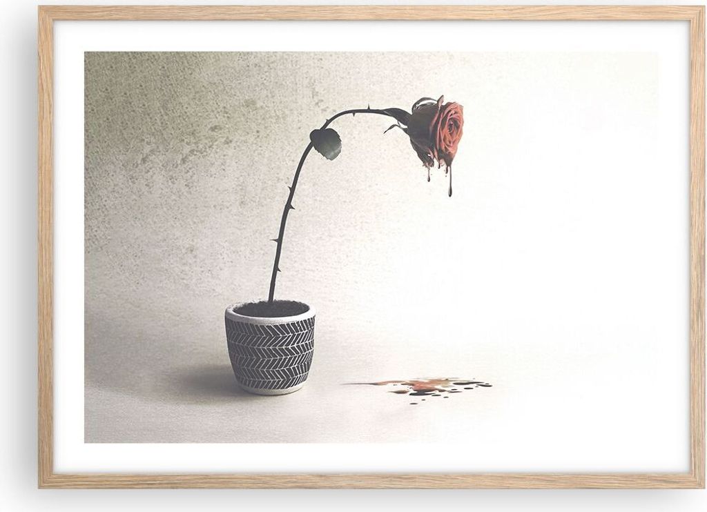 Gerahmtes Poster - Rahmen in heller Eiche - Symbol Rose Leiden - 70x50 cm - Wand Bild - Wanddeko - Wandbilder - Kunstposter - Wandposter - Bilderra...