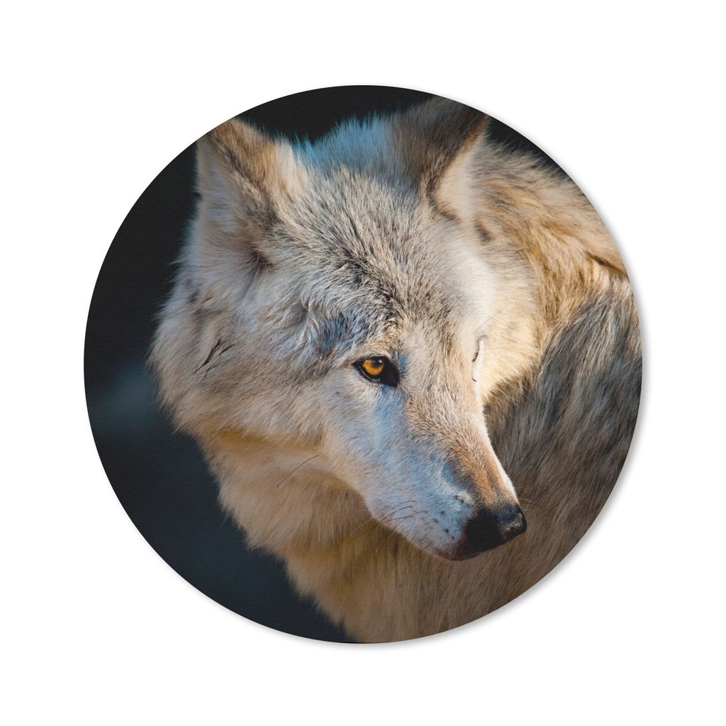 MuchoWow® Mauspad Mousepad Leichter Polarwolf 50x50 cm - Produktbild 