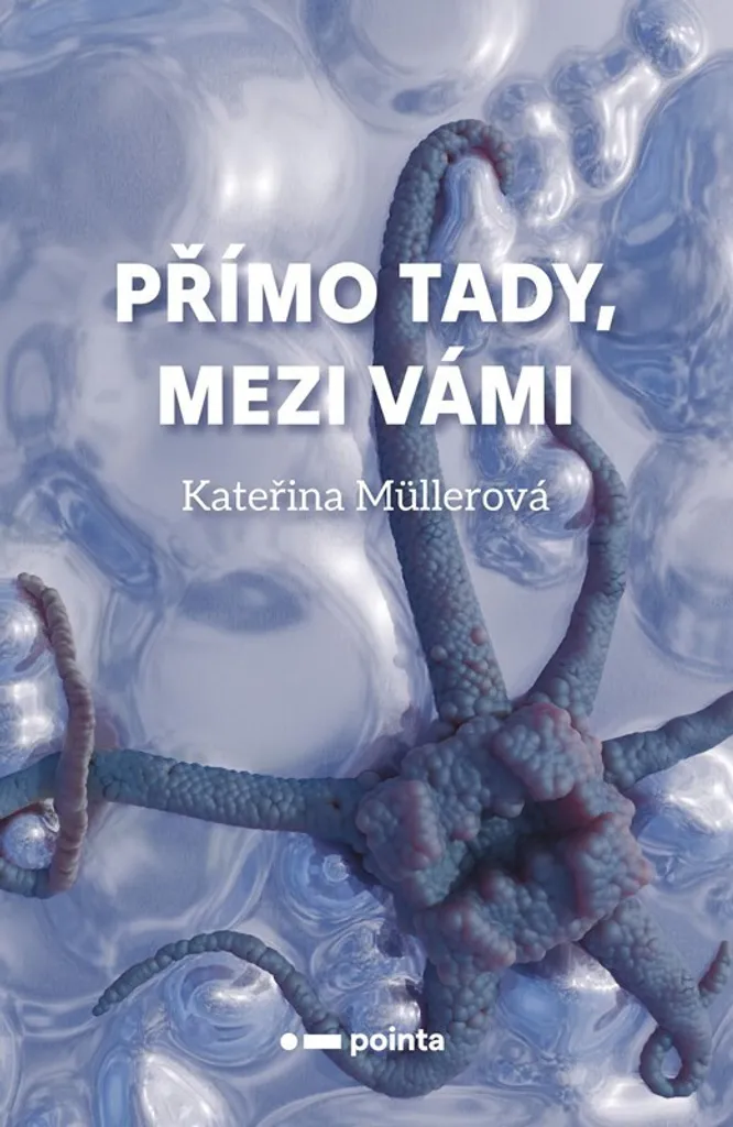 Lecture inspirante Přímo tady, mezi vámi - Idée cadeau Kateřina Müllerová