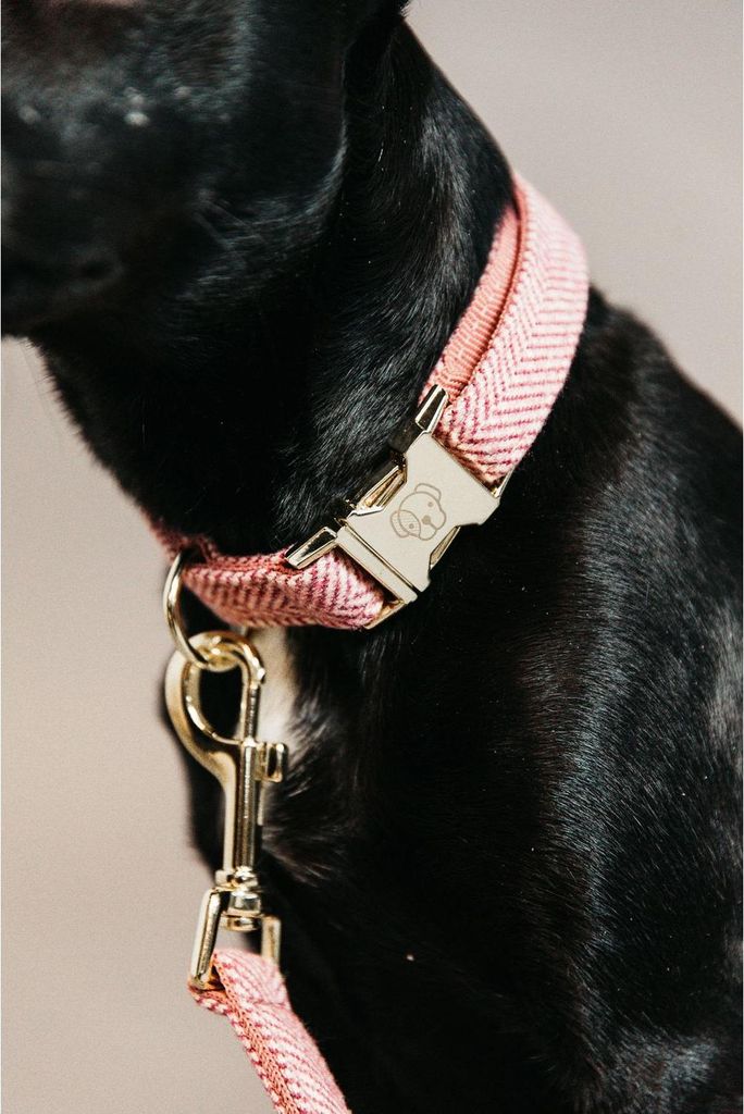 Kentucky Dogwear Hundehalsband Wool Hellrosa 2XS