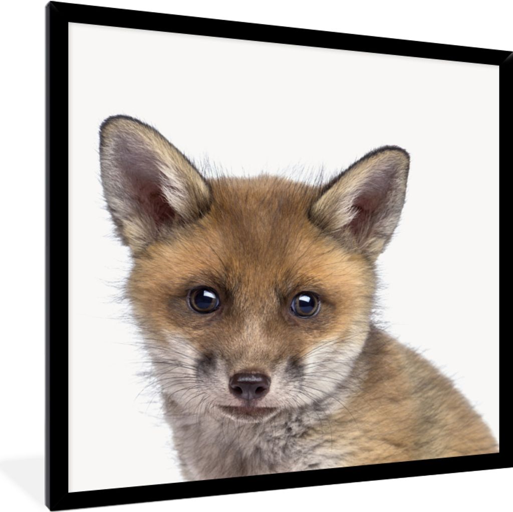 MuchoWow Gerahmtes Poster Fuchs - Tiere - Jungtier - Jungen - Mädchen - Kind 40x40 cm - Poster mit Schwarzem Bilderrahmen Wandposter Rahmen Foto...