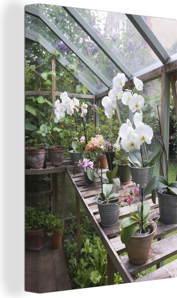 OneMillionCanvasses - Leinwandbilder - 90x140 cm, Blühende Orchidee in einem Gewächshaus, Wandbilder Kunstdruck Wanddekoration - Wandschmucke -...