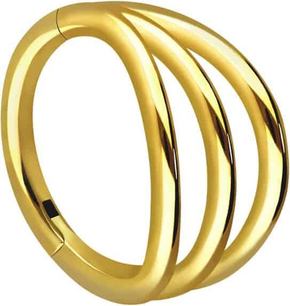 Ohrpiercing, Nasenpiercing, Septum Piercing Chirurgenstahl Segmentring Clicker 3 RINGE Gold Innendurchmesser: 10 mm