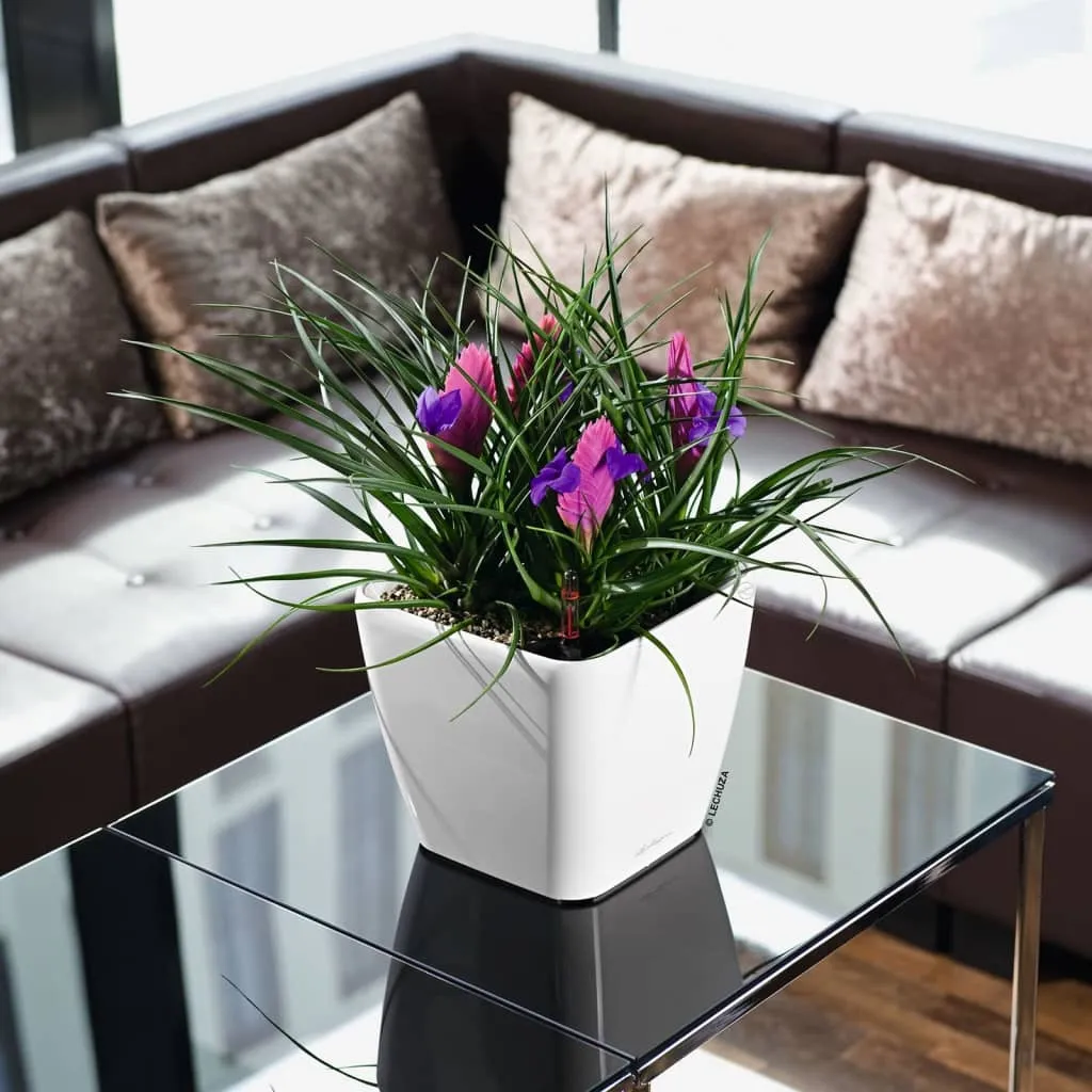 Bac à Fleurs Design pour Intérieur avec Réserve d'Eau Blanc Brillant