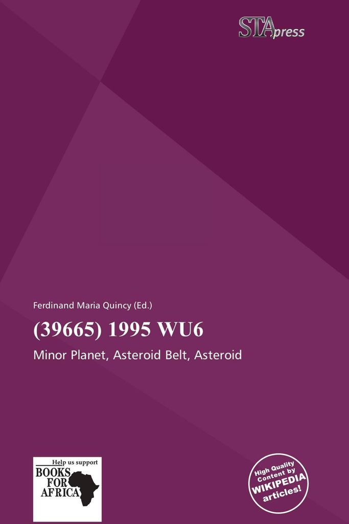 (39665) 1995 Wu6