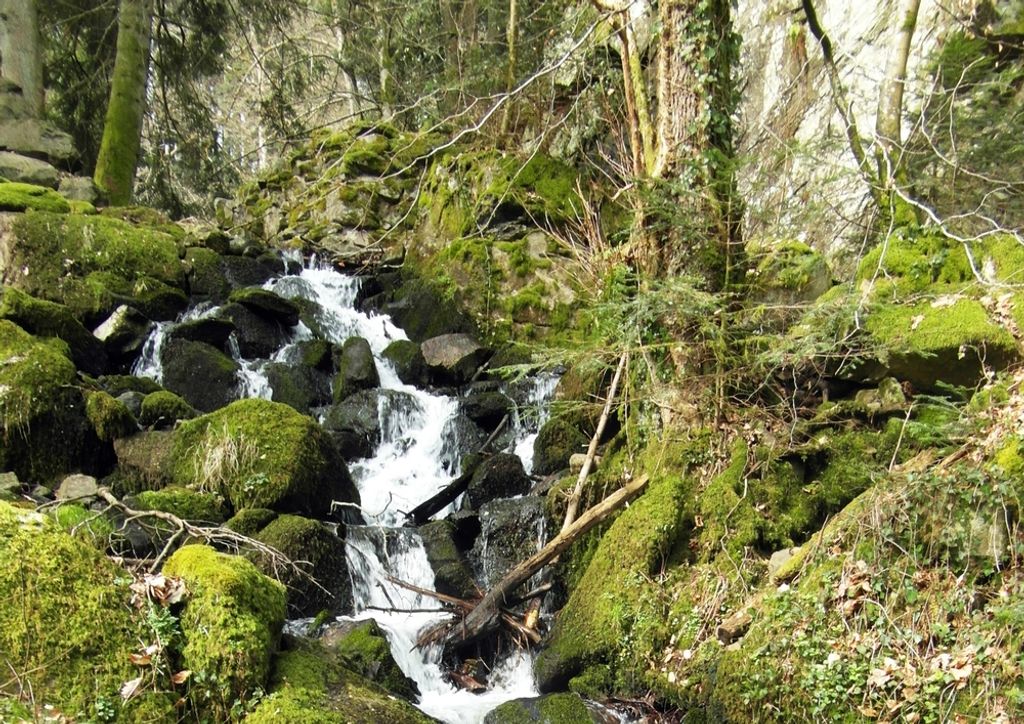 hansepuzzle 46777 - Wasserfall Puzzle, 260 Teile, Natur, 41,0 x 28,0cm mit hochwertiger Aufbewahrung, Kartonbox und wiederverschließbarem Beutel