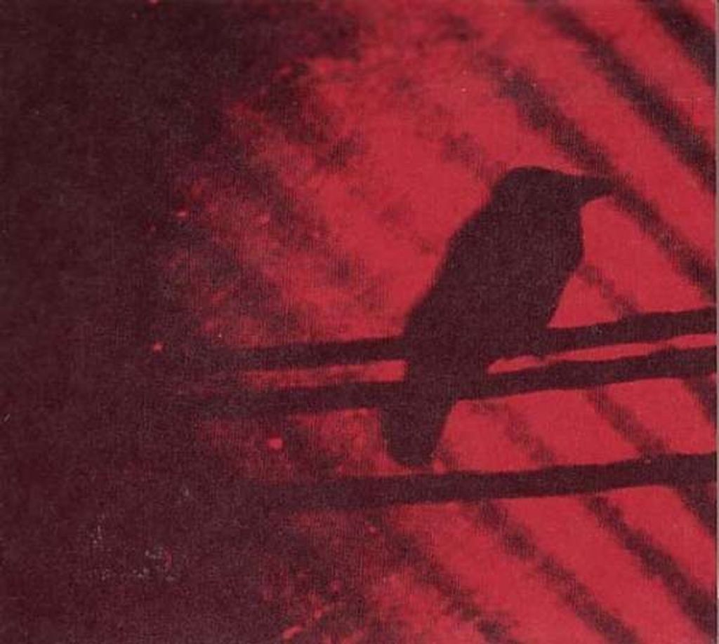 Thee Silver Mt.Zion-Born Into Trouble As The Spark