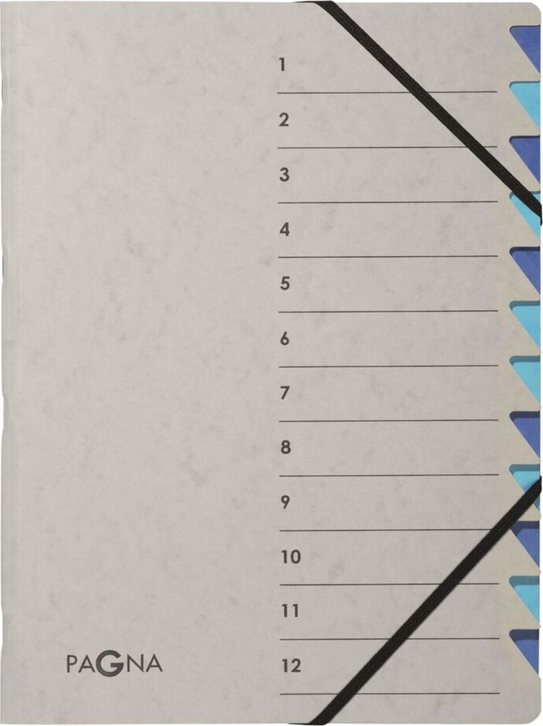 PAGNA Ordnungsmappe Easy Grey Verwendung für Papierformat: DIN A4 Grammatur: 335 g/m²