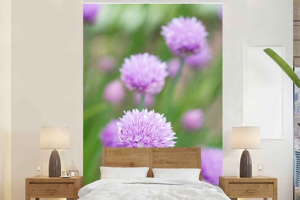 MuchoWow Fototapete für Wohnzimmer oder Schlafzimmer Wandtapete Vinyl Motivtapete Rosa blühende chinesische Schnittlauchpflanzen auf der Wiese ...