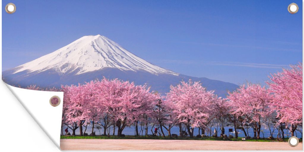 MuchoWow 60x30 cm Outdoor-Poster Gartendeko Sichtschutz Garten Poster für den Garten Fuji in Asien mit Kirschblüten im Vordergrund