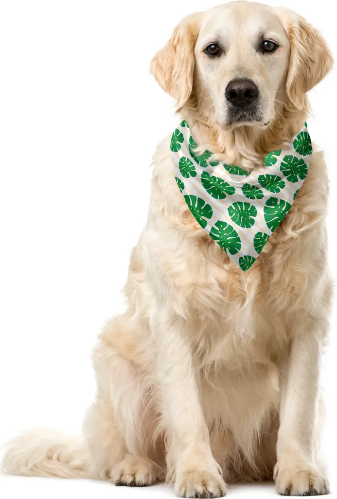 Accessorio Cane ABAKUHAUS 55x55 cm - Bandana Monstera Traspirante