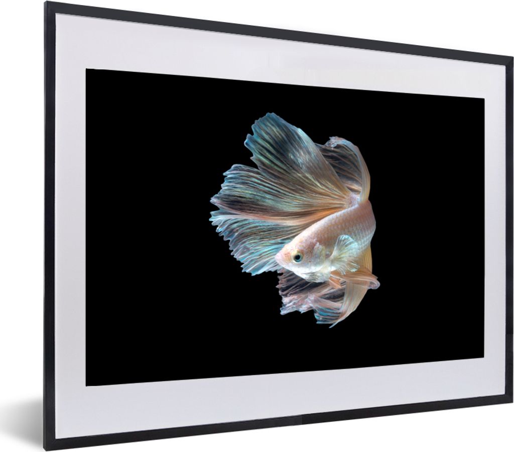 MuchoWow® MuchoWow® Gerahmtes Poster Fisch - Schwanz - Produktbild 