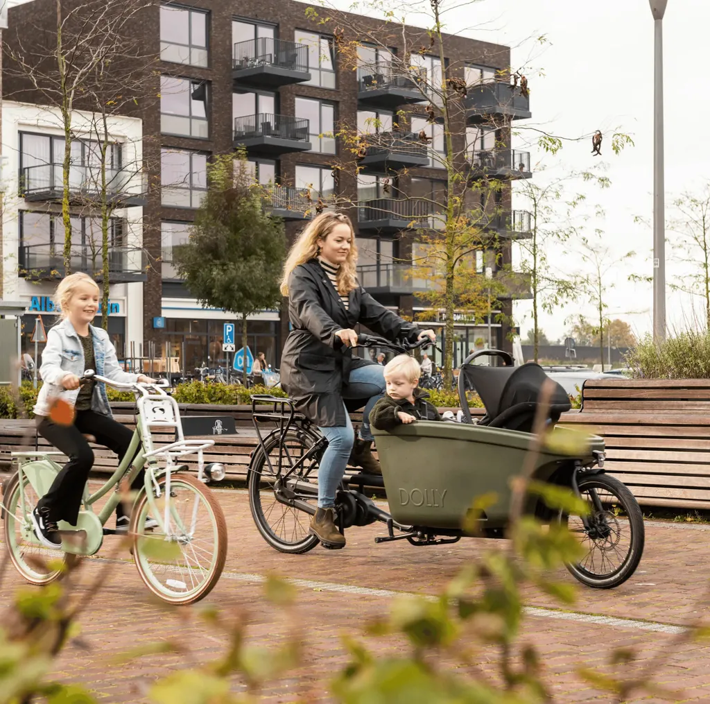 Steco Mini-Mee Porte-Bébé avec Suspension pour Vélo Cargo Noir - 6