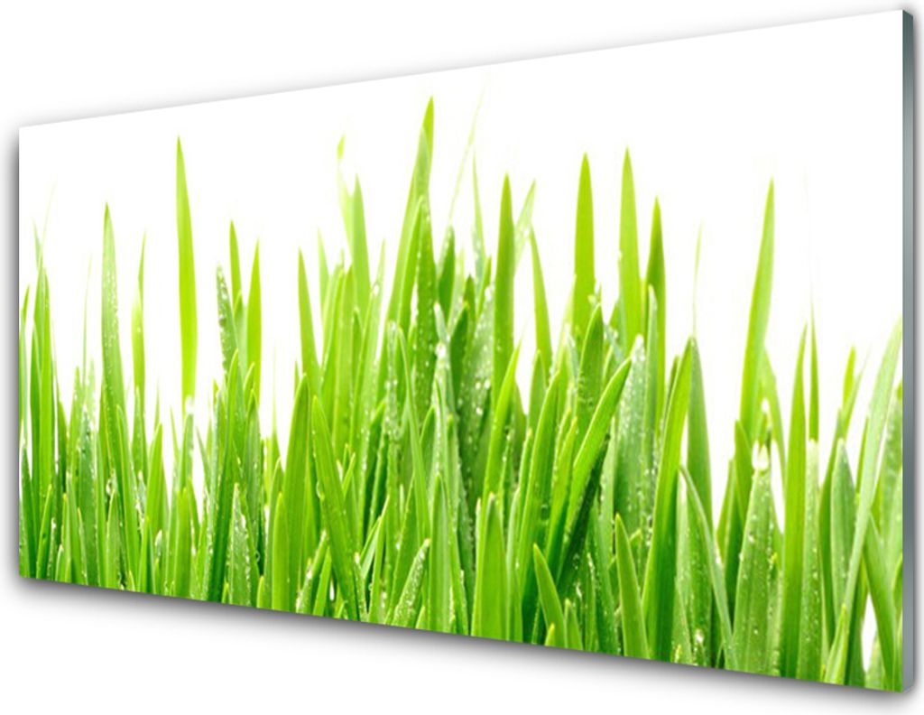 Acrylglasbilder 100x50 Wandbild Druck Gras Natur
