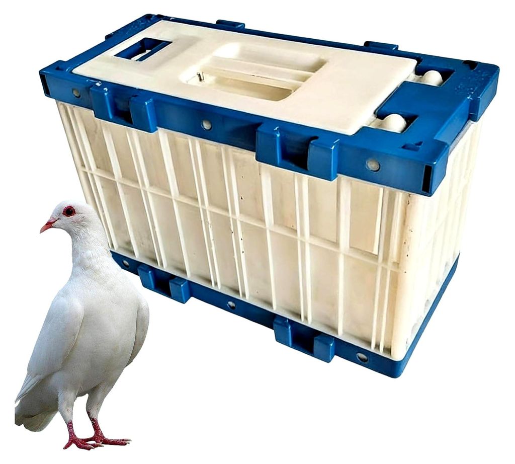 Taubenkäfig – Tragbarer, atmungsaktiver Vogelkäfig mit Schloss für den Außentransport von Sittichen und Nymphensittichen