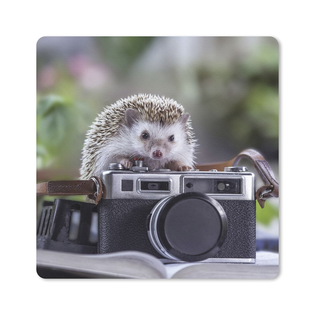 MuchoWow Mauspad Mousepad Igel - Kamera - Buch 20x20 cm - Mousepads - Maus Mat - Pad - Mausunterlage - Desk Mat - Bureauartikeln