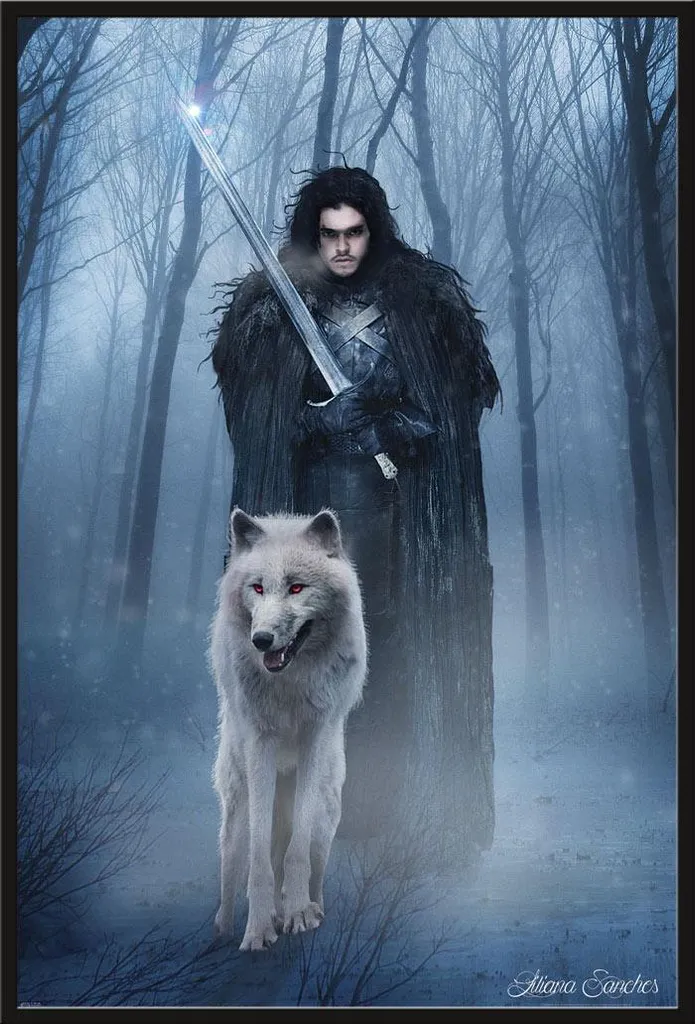 Affiche Liliana Sanches Bastard of the North Vitre Acrylique Shinsuke
